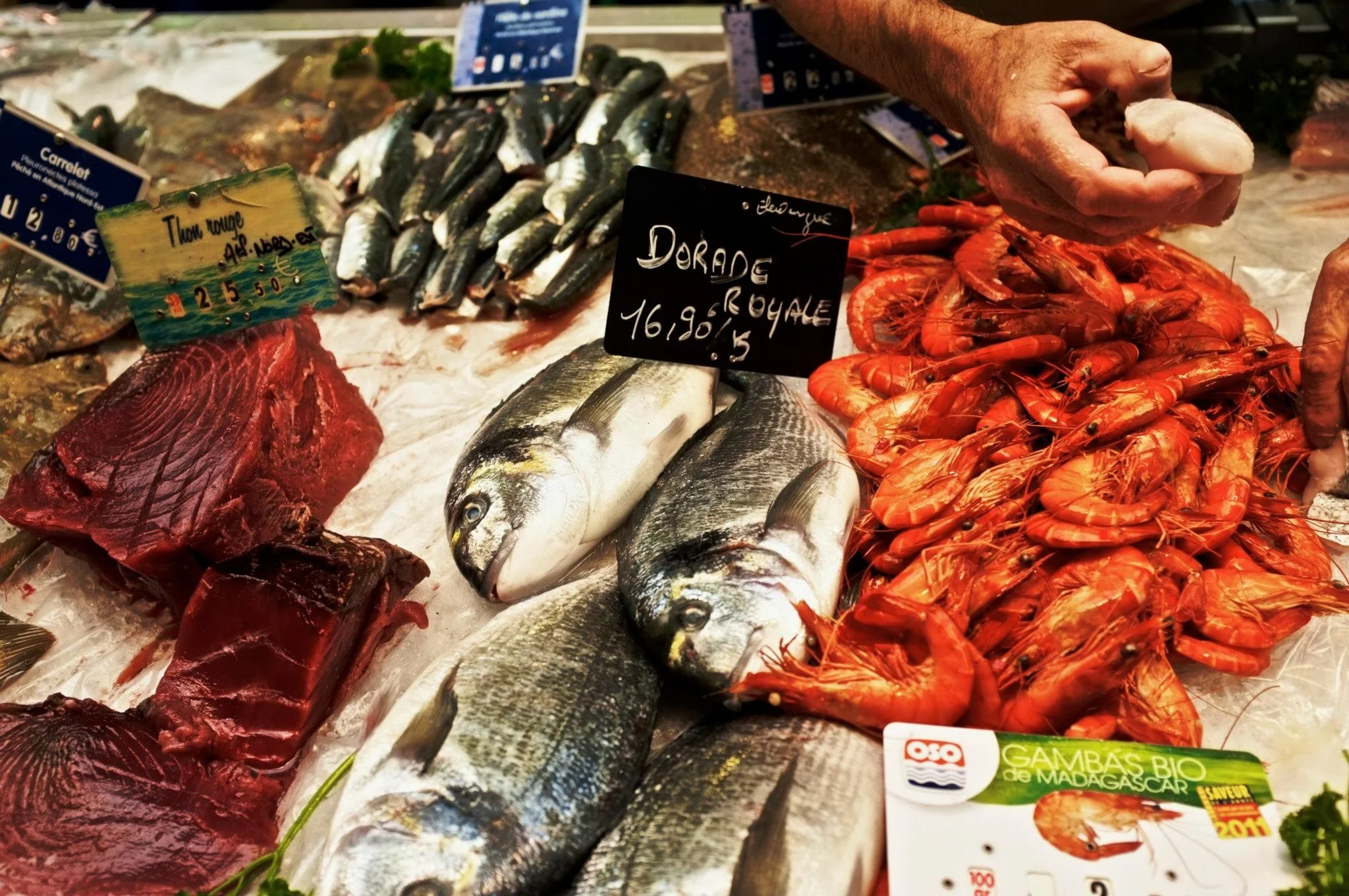 au marché des halles