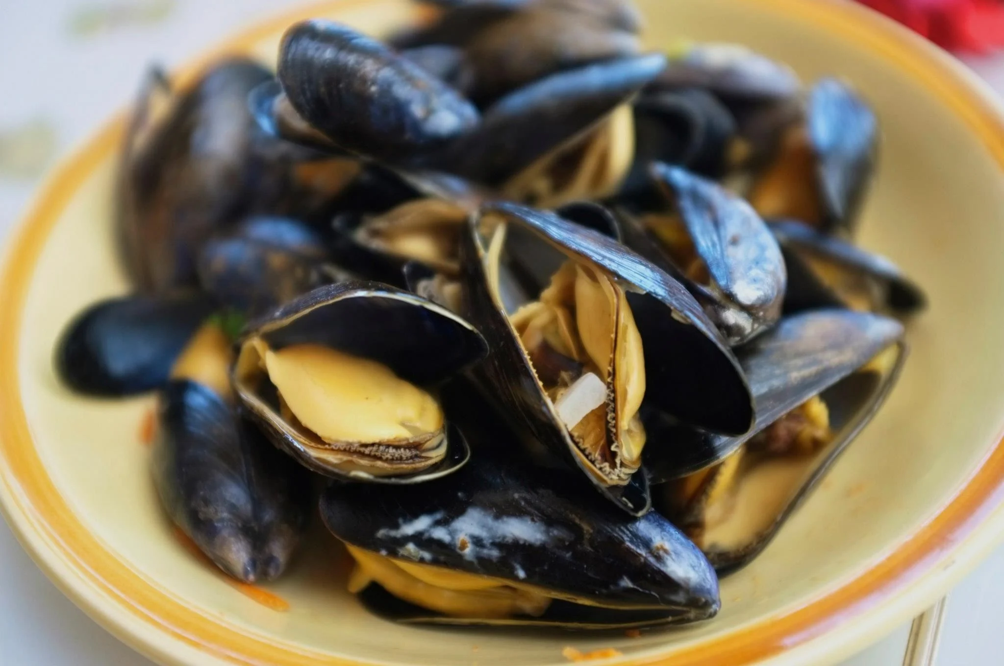 moules