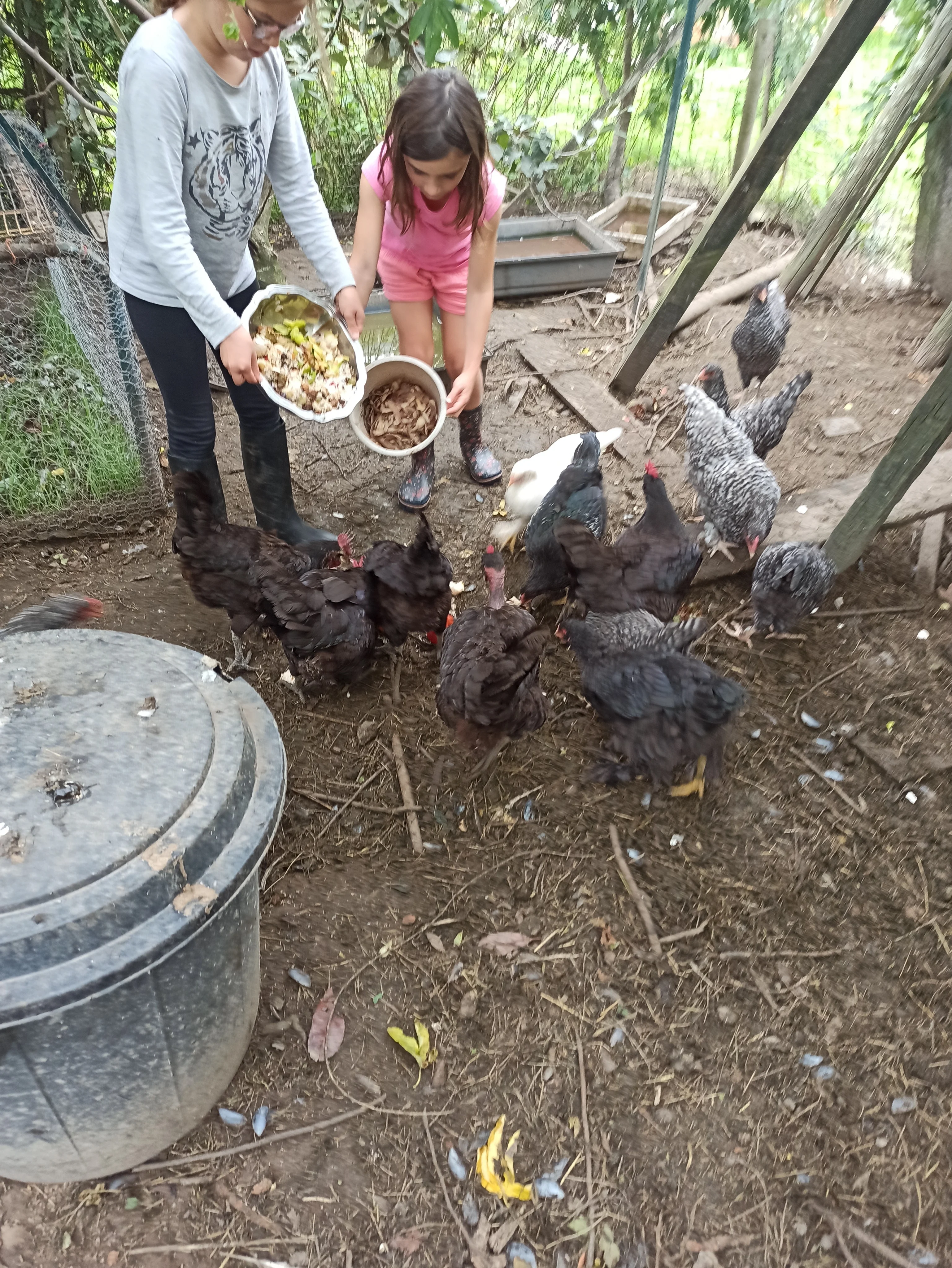 découverte à la ferme