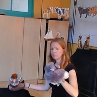 Matinée contes à l'école