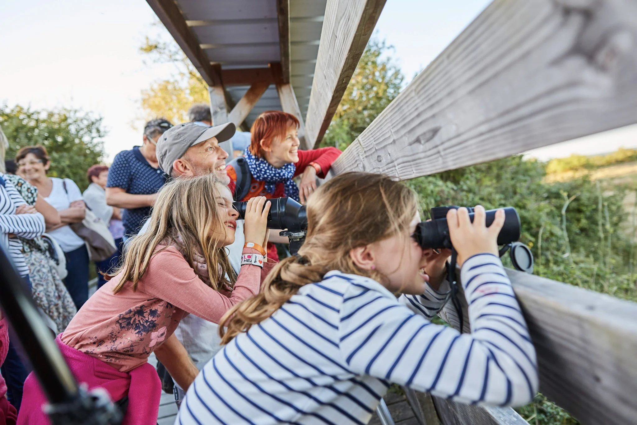 Observation des oiseaux locaux